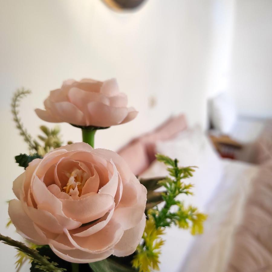 Dar Naima Bed and Breakfast Φεζ Εξωτερικό φωτογραφία